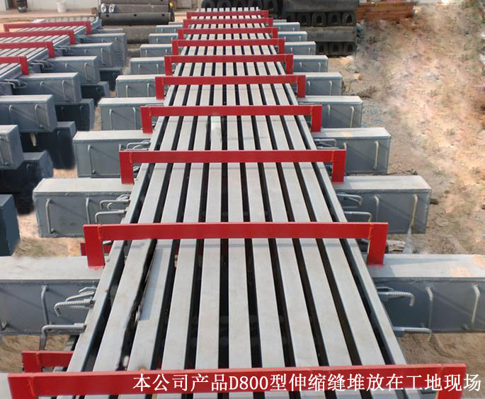 廣航交通800型組合式伸縮大縫