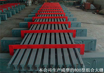 廣航交通800型組合式伸縮大縫