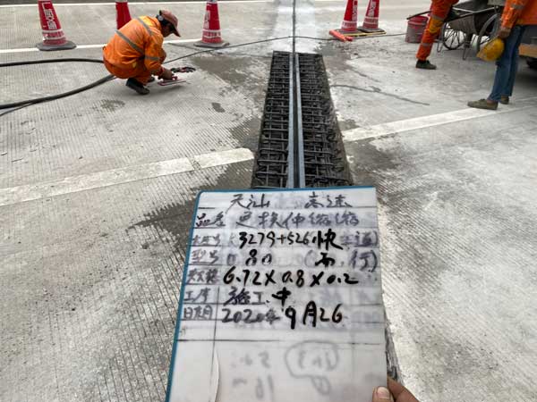 D80橋梁伸縮縫更換施工